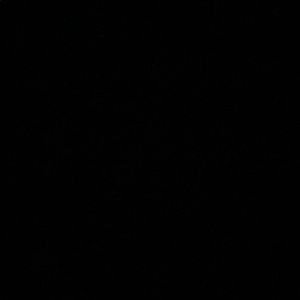 Meet your Posher, Vincenza